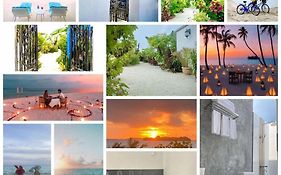 Coral Castle - Goidhoo Maldives